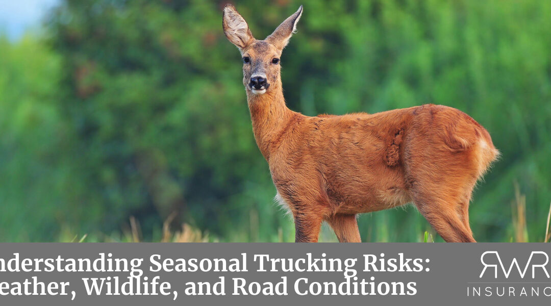 Understanding Seasonal Trucking Risks: Weather, Wildlife, and Road Conditions